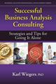 Successful Business Analysis Consulting: Strategies and Tips for Going It Alone (Business Analysis Professional Development)