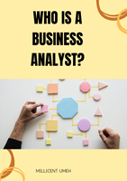 Who is a Business Analyst