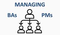 Managing a Group of Project Managers and Business Analysts