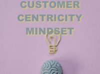 The "Customer – Centricity" Mindset as a Key Element in BA Success