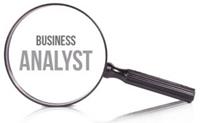 Do we really know what the ‘Analyst’ in the ‘Business Analyst’ means?