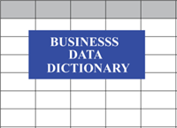 Managing Data-Specific Business Needs Using a Data Dictionary