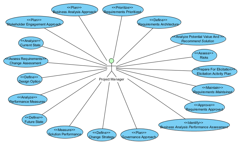 BABOK OOA - Project Manager Tasks