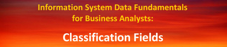 Classification Fields - Information System Data Fundamentals For Business Analysts