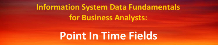 Point In Time Fields - Information System Data Fundamentals For Business Analysts