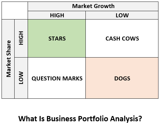 What is Business Portfolio Analysis?