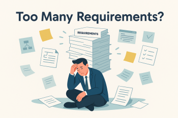 Too Many Requirements?